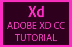 Adobe Xd Cc
