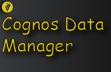 Cognos Data Manager